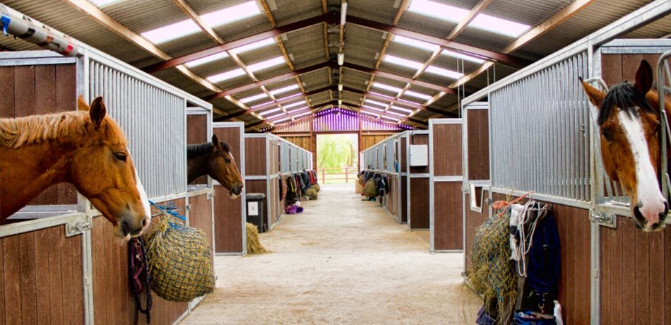 Racing_Stables