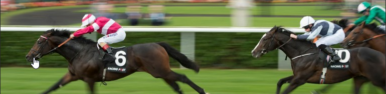 horse_winning_winning_post_shot