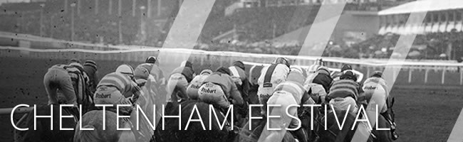 cheltenham festival