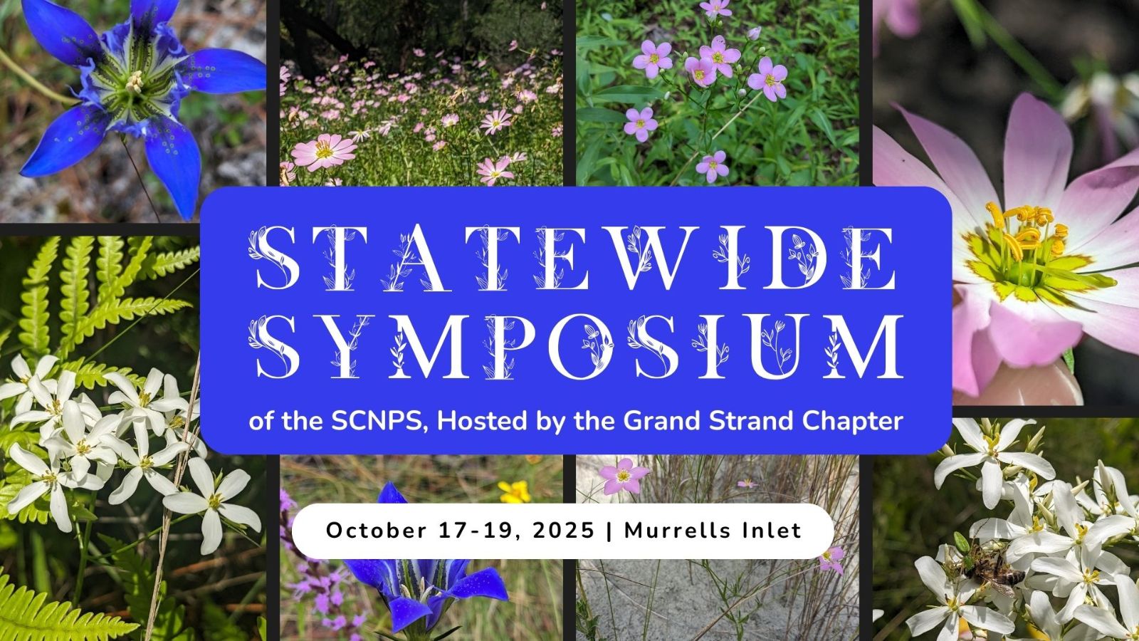 2025%20SCNPS%20Symposium%20-%20banner.jpg
