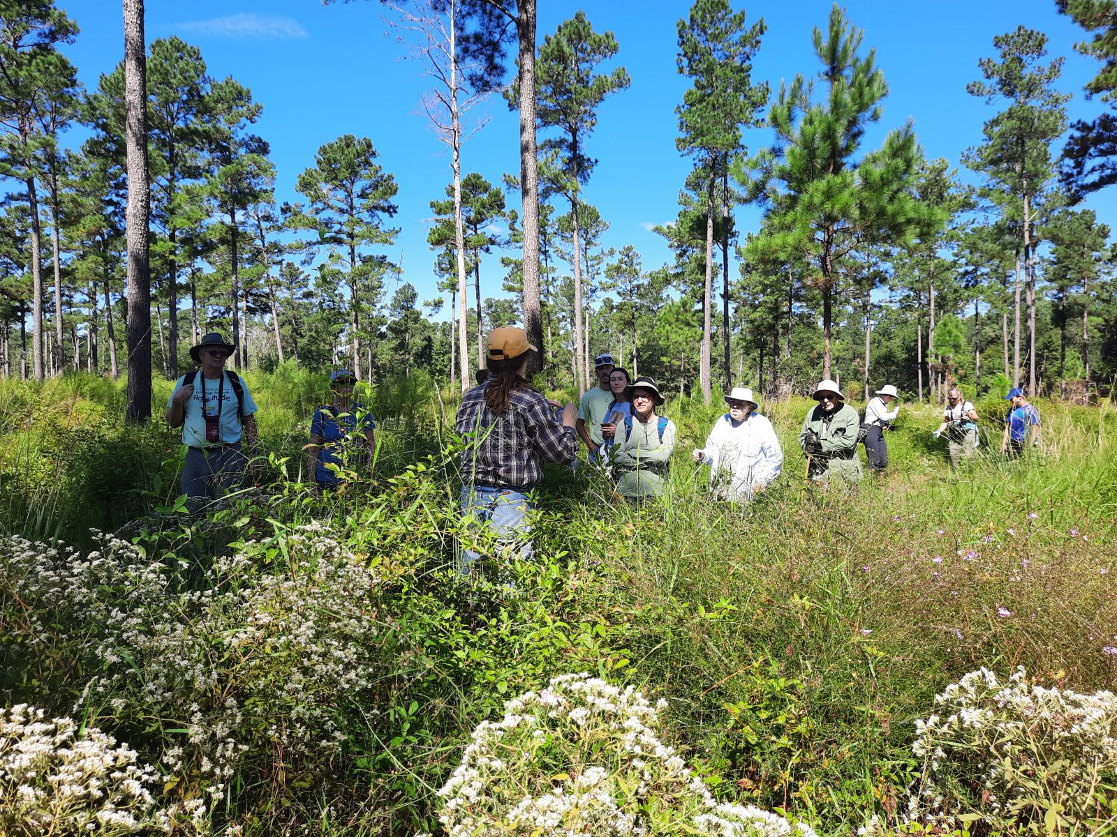 Black%20River%20Cypress%20Preserve.jpg