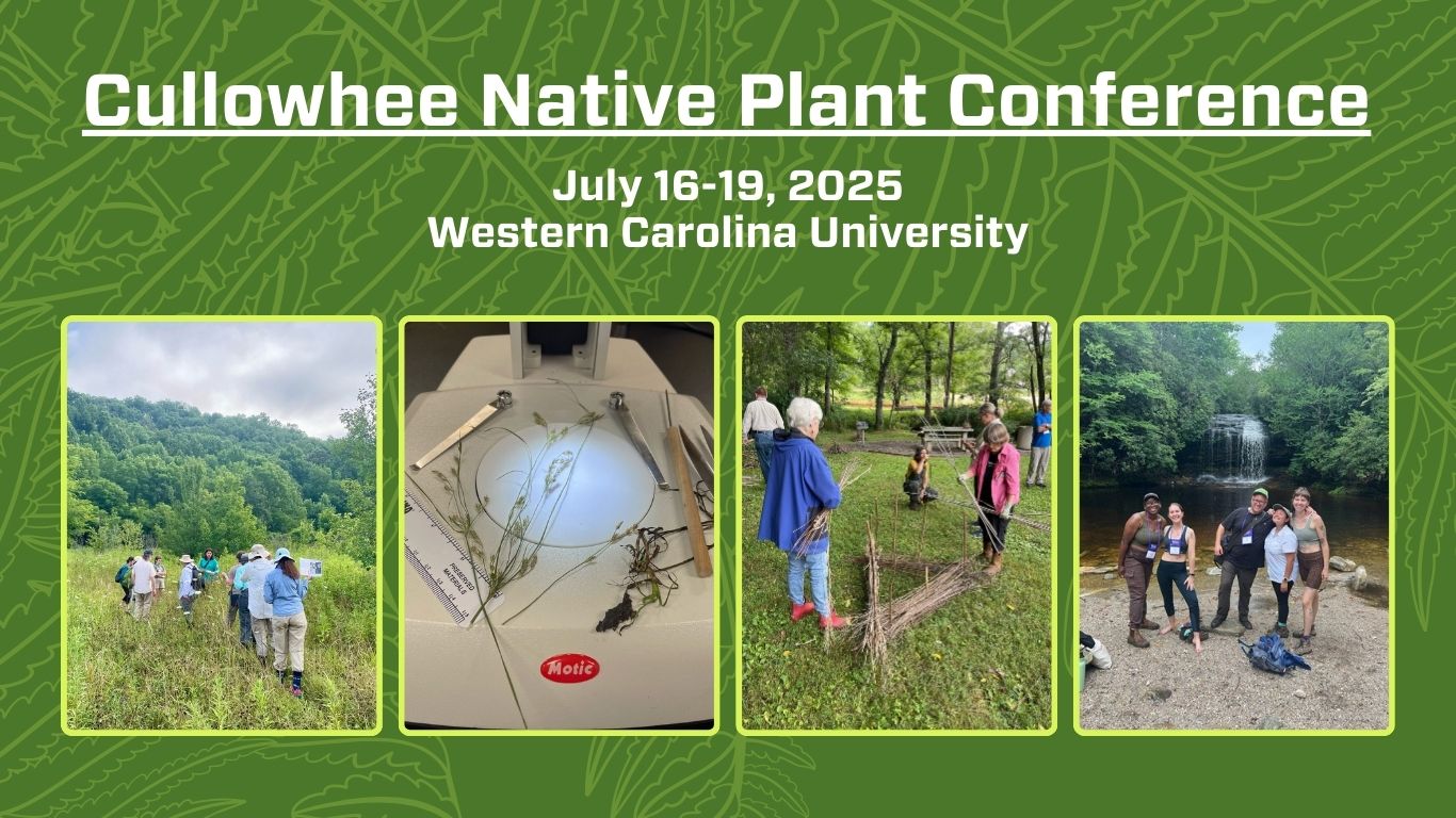 Cullowhee%202025.jpg