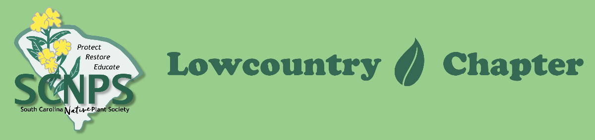 Lowcountry%20banner.png
