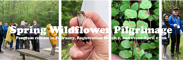 Spring%20Wildflower%20Pilgrimage%202025.png