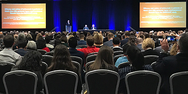 Photo of one of the sessions