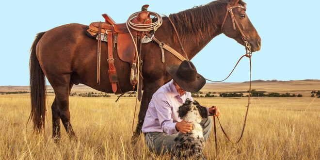 cowboy with his dog and horse