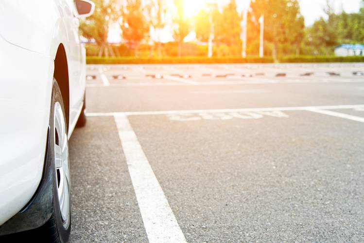 A Senseless Act of Courtesy