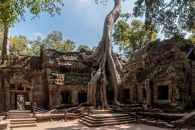 Cây cối hòa với kiến trúc tại ngôi đền cổ ở Campuchia, nơi từng bấm máy Tomb Rider