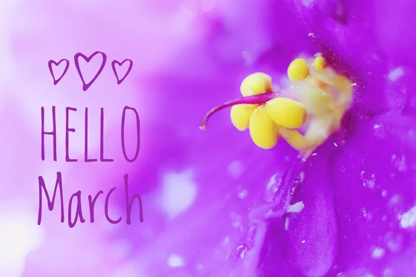 Hello march Stock Photos, Royalty Free Hello march Images | Depositphotos