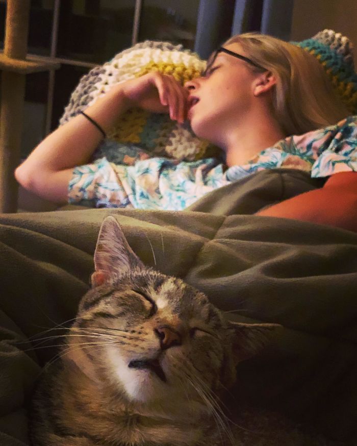 My FiancÃ© And Our Cat, Catching Flies