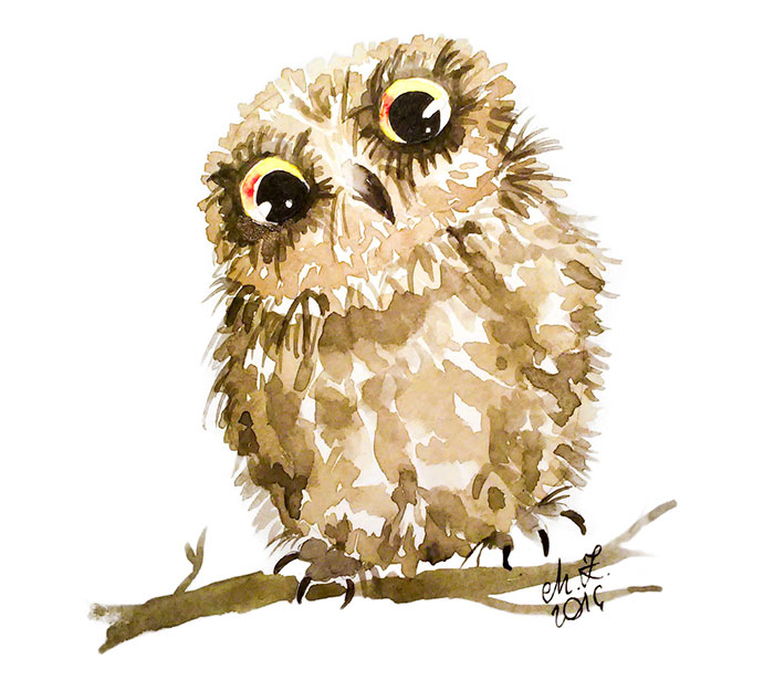 I Painted My First Owl 3 Years Ago, And Havenâ€™t Been Able To Stop Since (36 Pics)