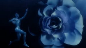 OCS - Casa cu gratii de argint