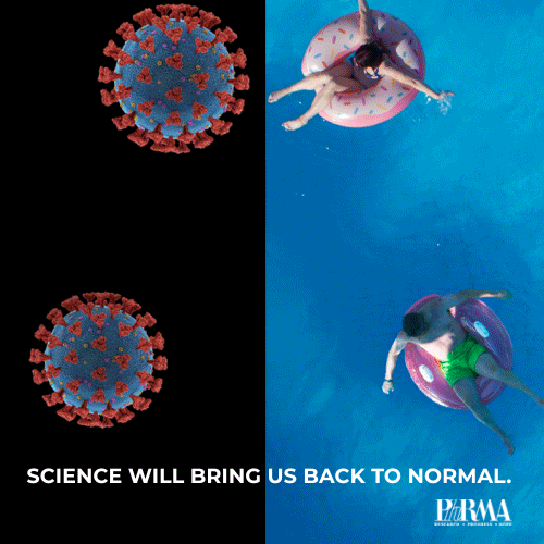 Advertisement Image Advertisement Image