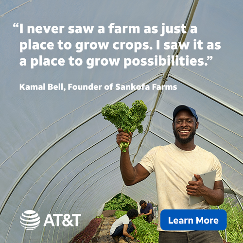 Advertisement Image Advertisement Image