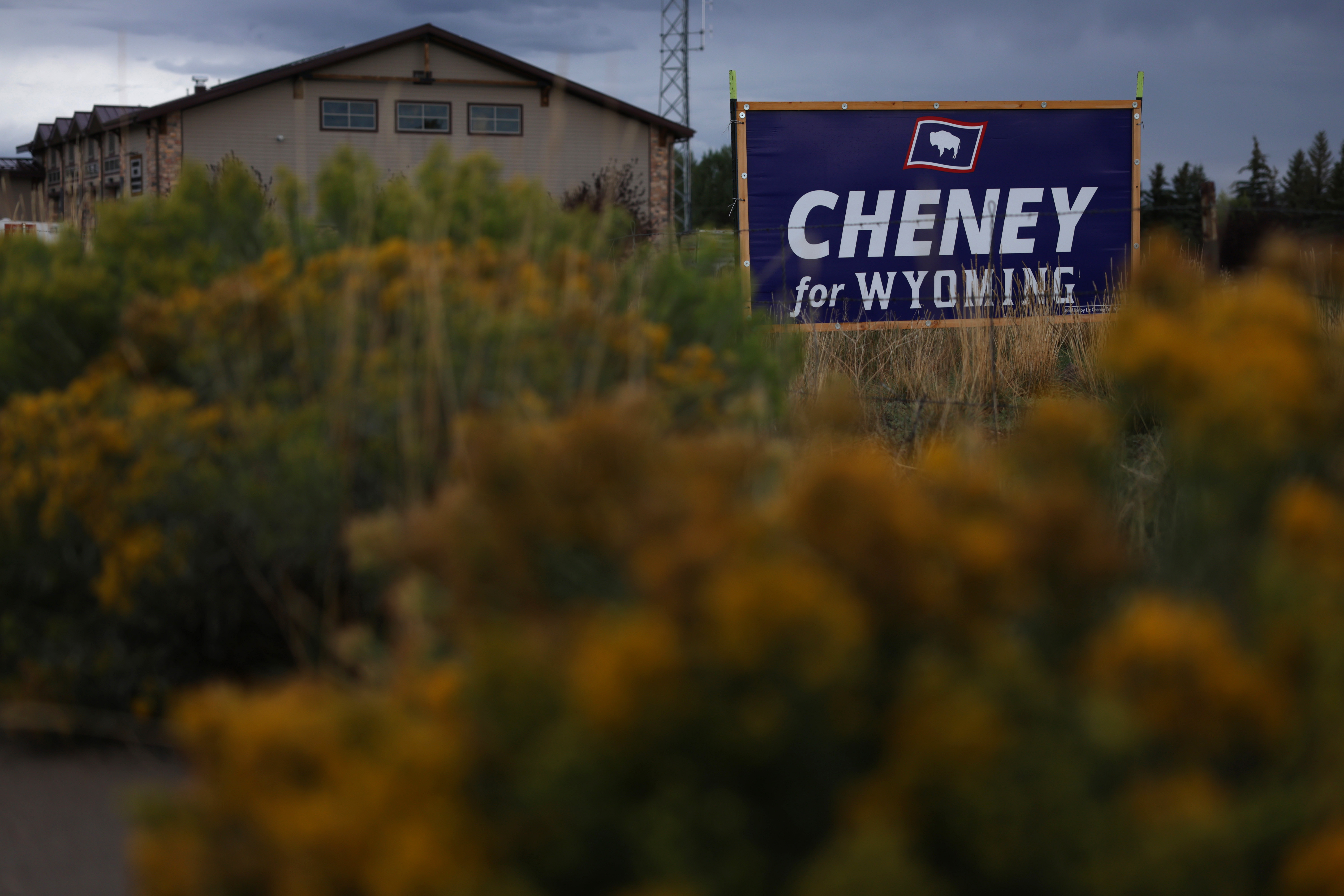 A Liz Cheney yard sign in Wyoming.