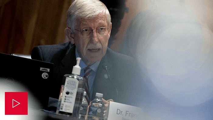 Nightly 8-2-21 video NIH Director Francis Collins