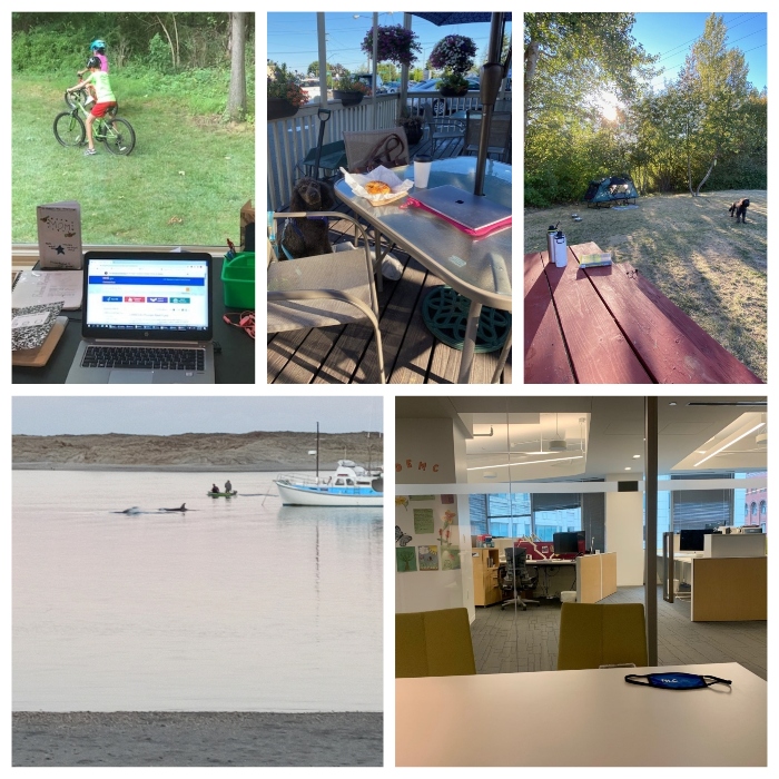 Nightly 9-4 ask Nightly audience submissions of Covid workplaces