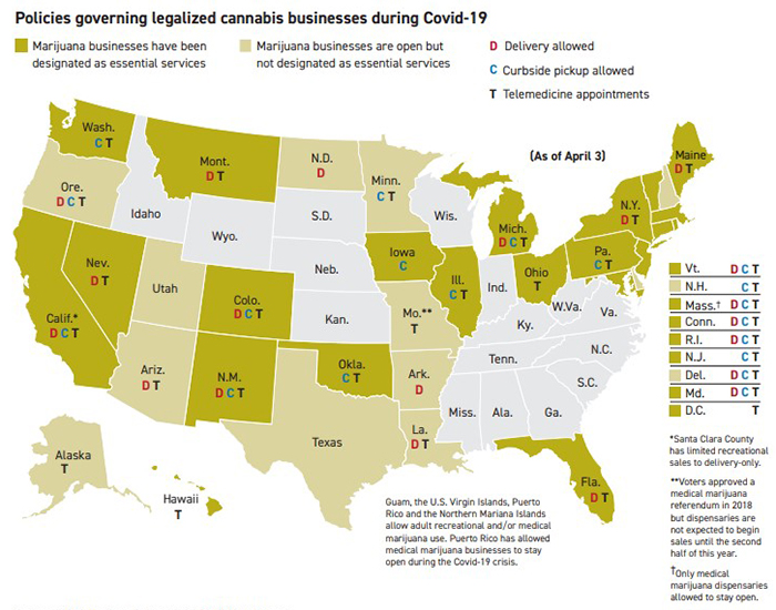 20200413_CovidCannabis_DP_700 Cristina Rivero/POLITICO Pro DataPoint
