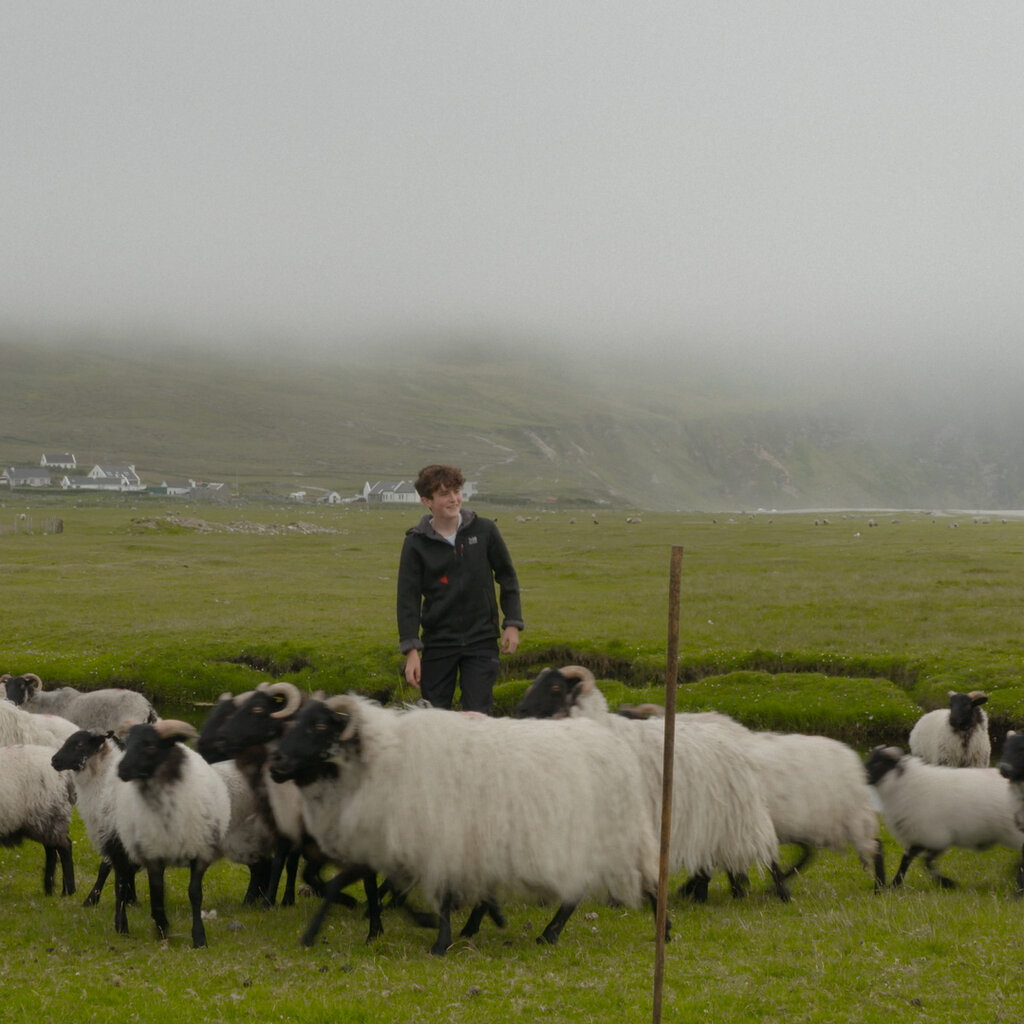 A boy in a green field with sheep in front of white houses, mist and cliffs. 