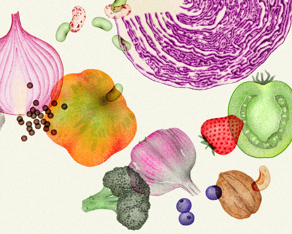 An illustration of various watercolor-painted foods. The items include an onion, seeds, beans, broccoli, blueberries, a walnut, a strawberry, cauliflower, a green tomato, garlic, cabbage and squash.