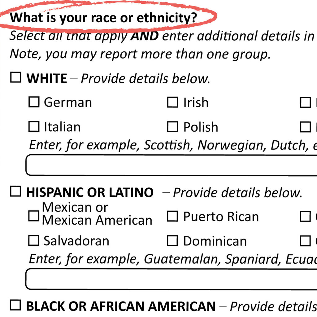 A census question in bold asks "What is your race or ethnicity?" There are several tick-box answers below. 