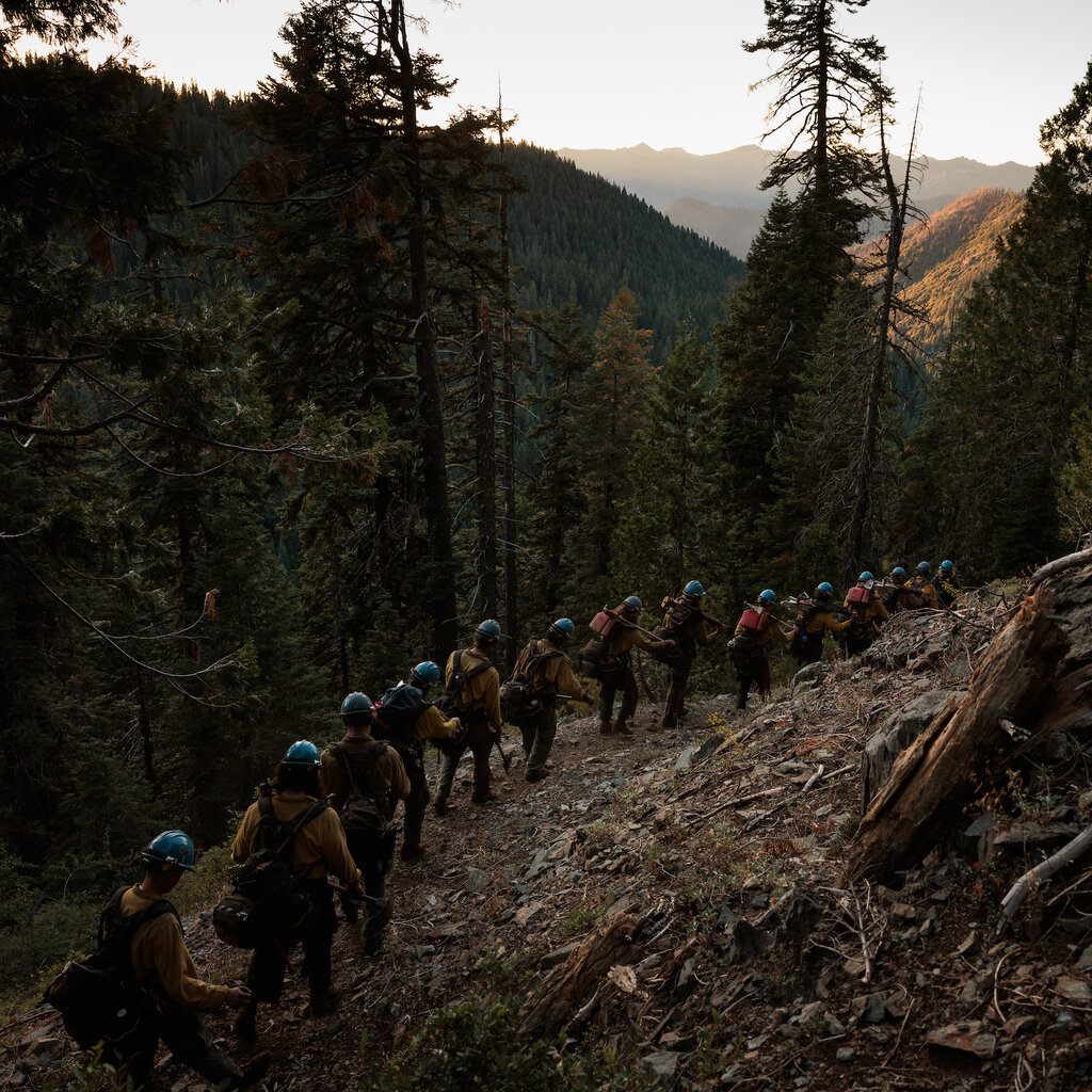 A line of firefighters walks down a ridge with forest and mountains in the distance.