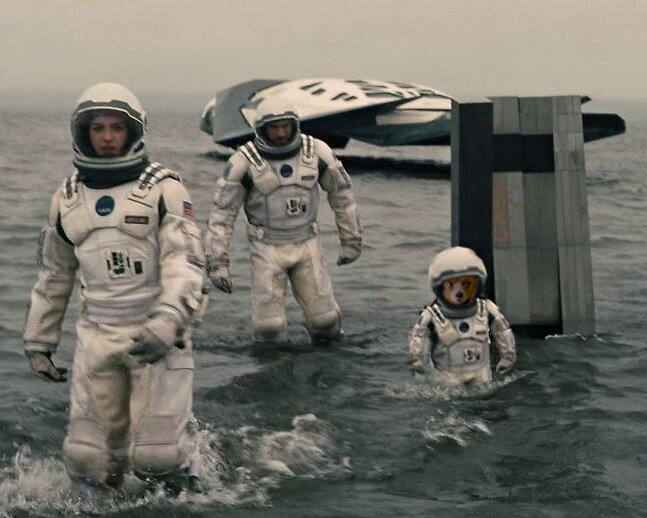 Two humans, and one small bear, wear spacesuits as they walk through a vast body of water. A space ship is visible behind them. 