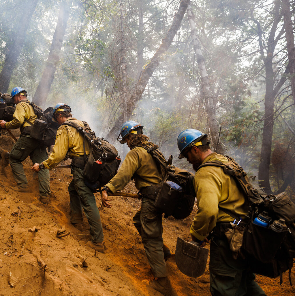 A line of firefighters walking up a steep hill in a forest with smoke rising beside them. 