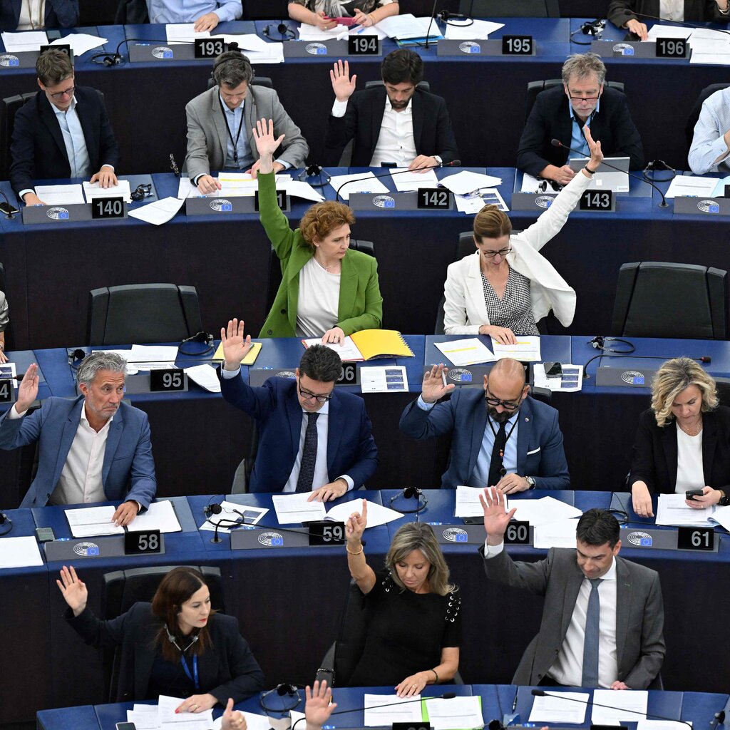 Members of the European Parliament viewed from above in suits and blazers with many raising their hands. 