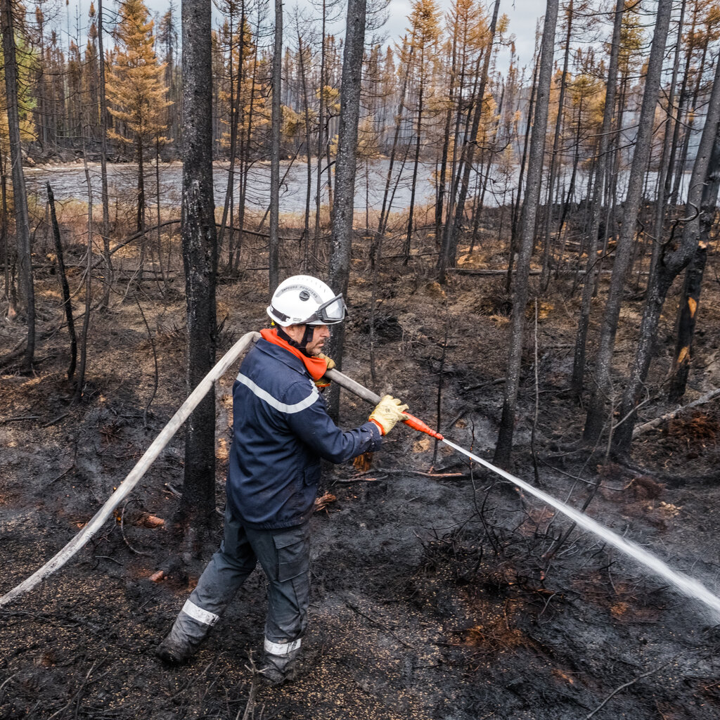 A firefighter stands in the middle of a smoking and burned forest, holding a hose that rests over his left shoulder and streams water.