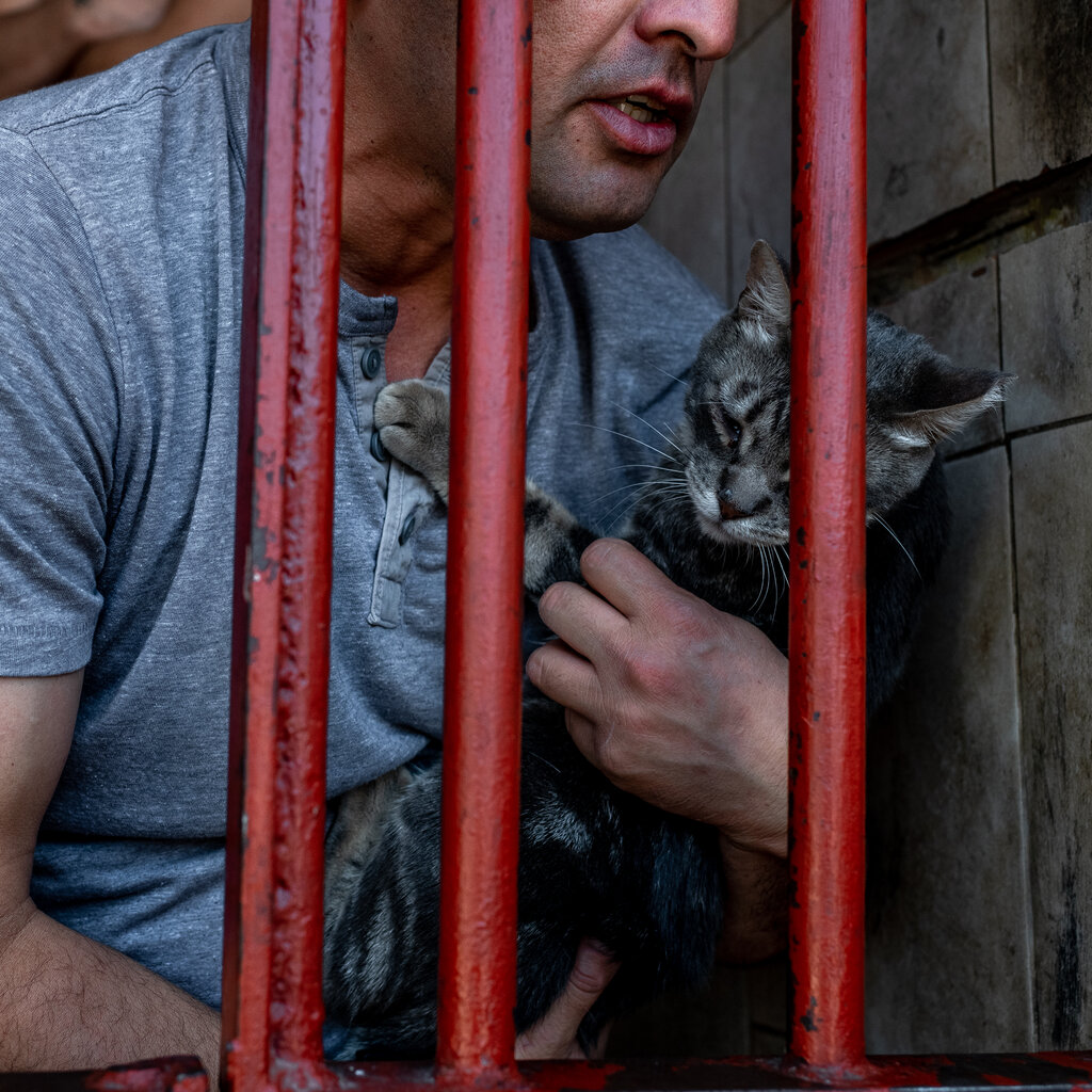A man behind red bars holding a cat.