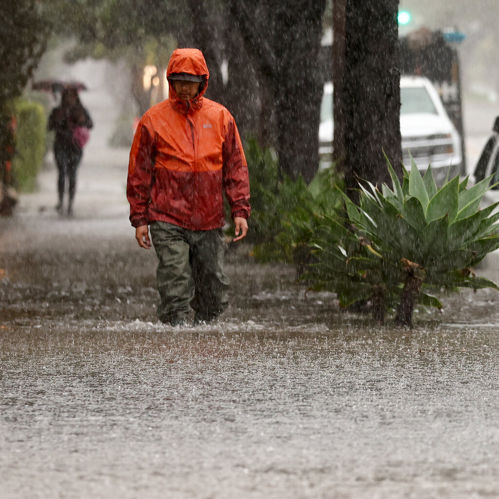 A person walks along a flooded sidewalk in calf-high water, alongside partly submerged cars and trees.
