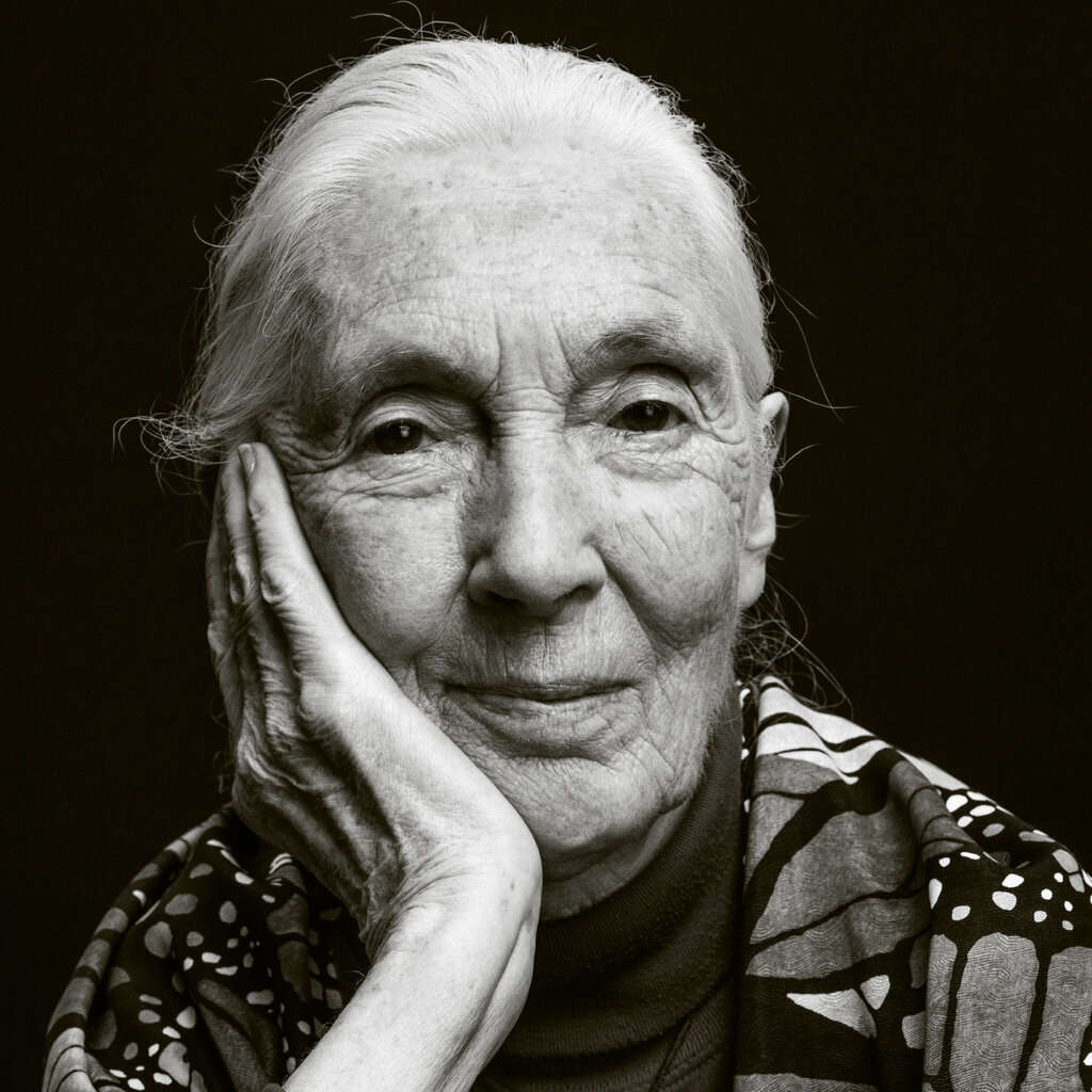 A closeup black and white portrait of Jane Goodall. 