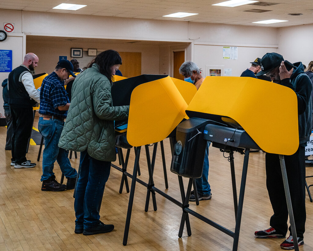 People stand at yellow polling booths. 