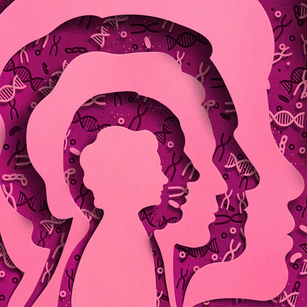 illustration of a silhouetted person's face at various ages; between the silhouettes are DNA, DNA damage, cells, telomeres, and mitochondria; the technique is paper cut, and the image is pink and purple 