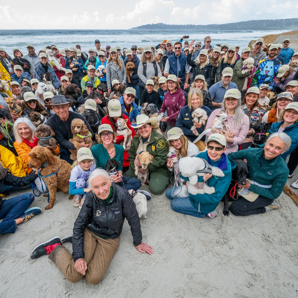 Jane Goodall sits on the beach in front of a crowd of people, some sitting, some standing, for a group portrait. Some hold dogs.