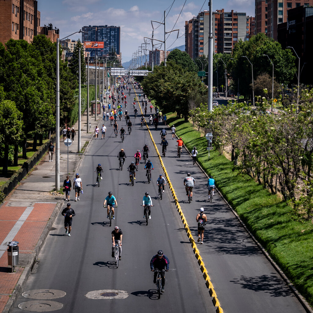 Bicyclists fill a street, flanked by grass, trees and light poles. 