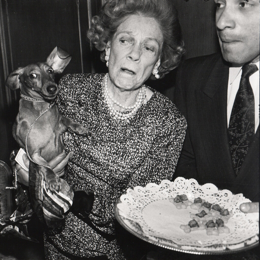 A woman holds a small dog beside a man and a tray of canapés.