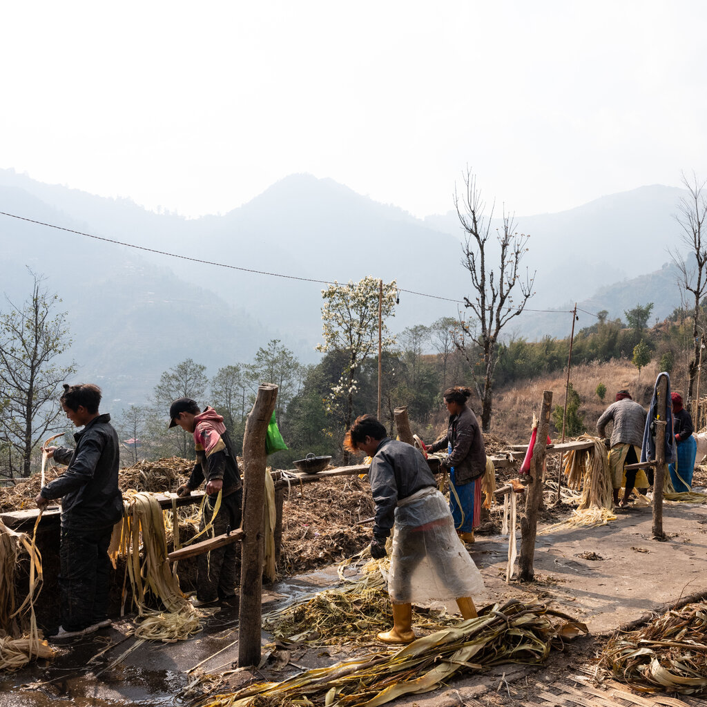 Workers work with tree bark in the mountains of Nepal. 