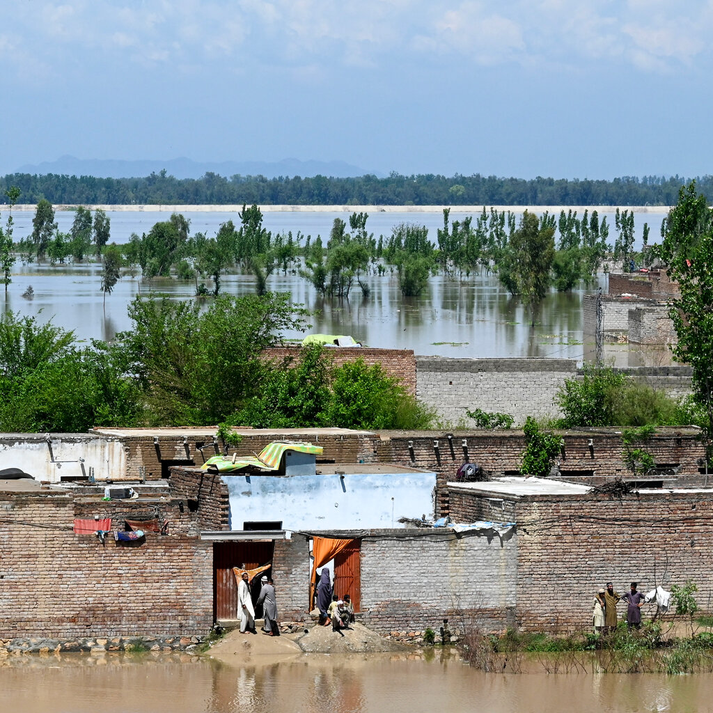 Houses and trees partly submerged in a rural setting.