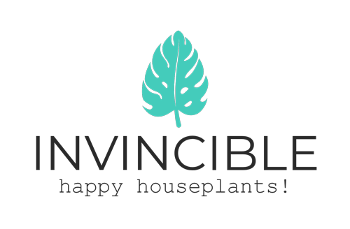 Invinvible happy Houseplants