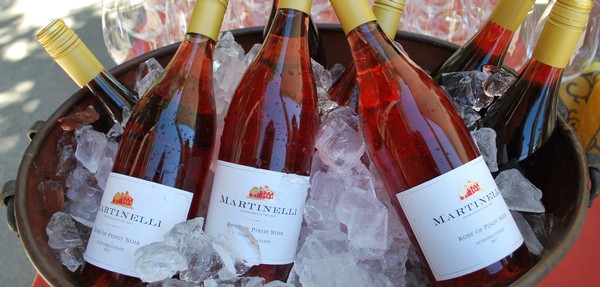  Martinelli Winery Update