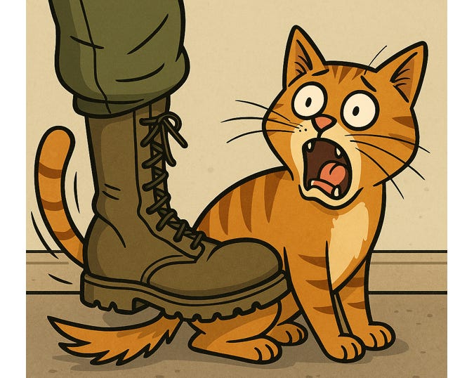 image 7.png image 7.png