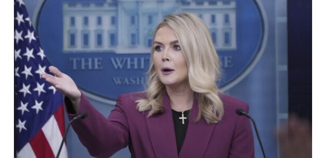 image 13.png image 13.png