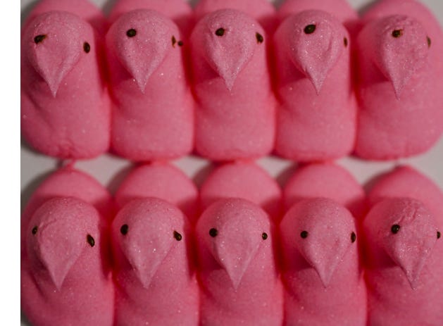 image 7.png image 7.png