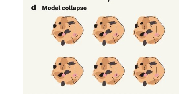 image 6.png image 6.png