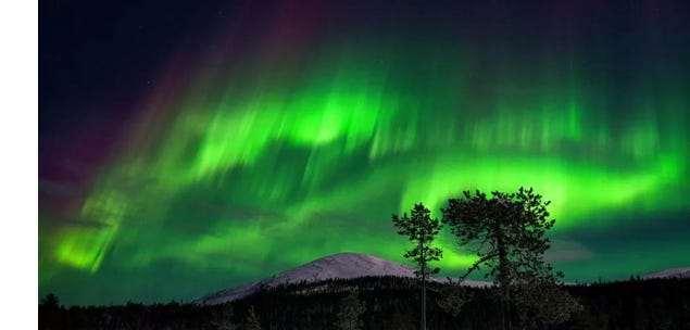 image 8.png image 8.png