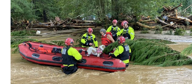 image 11.png image 11.png