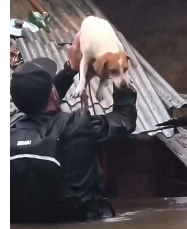 image 9.png image 9.png