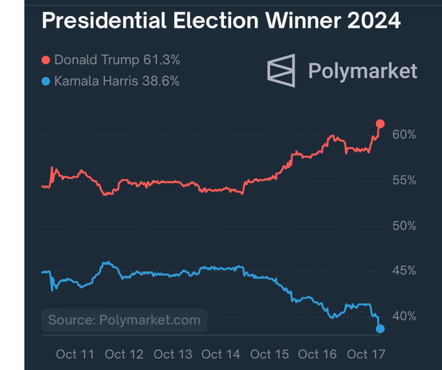 image 7.png image 7.png